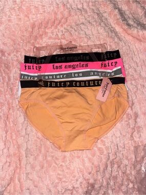 Juicy Couture pack of 4 bikini style panties - 2X - NWT!